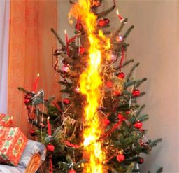 Foto für Brandschutz in der Weihnachtszeit